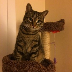 Meet your Posher, Jeanne